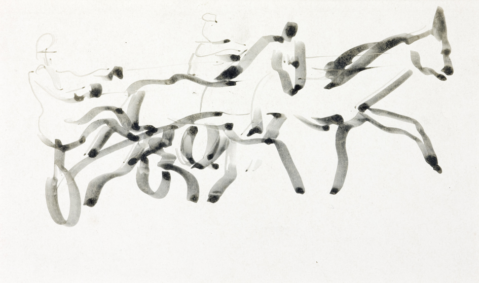 Twee sulky's (SC-160)