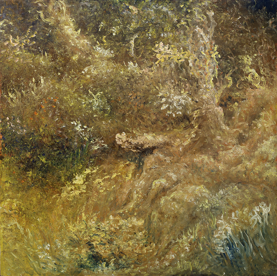 Open plek in het bos