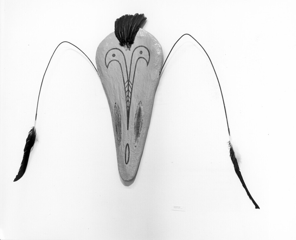 VERVALLEN (Groot Vogelmasker)