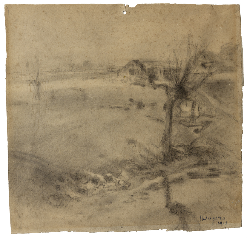 Landschap met knotwilg