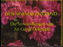 Der Normalzustand - Die Verwandlungen von Jiri Georg Dokoupil