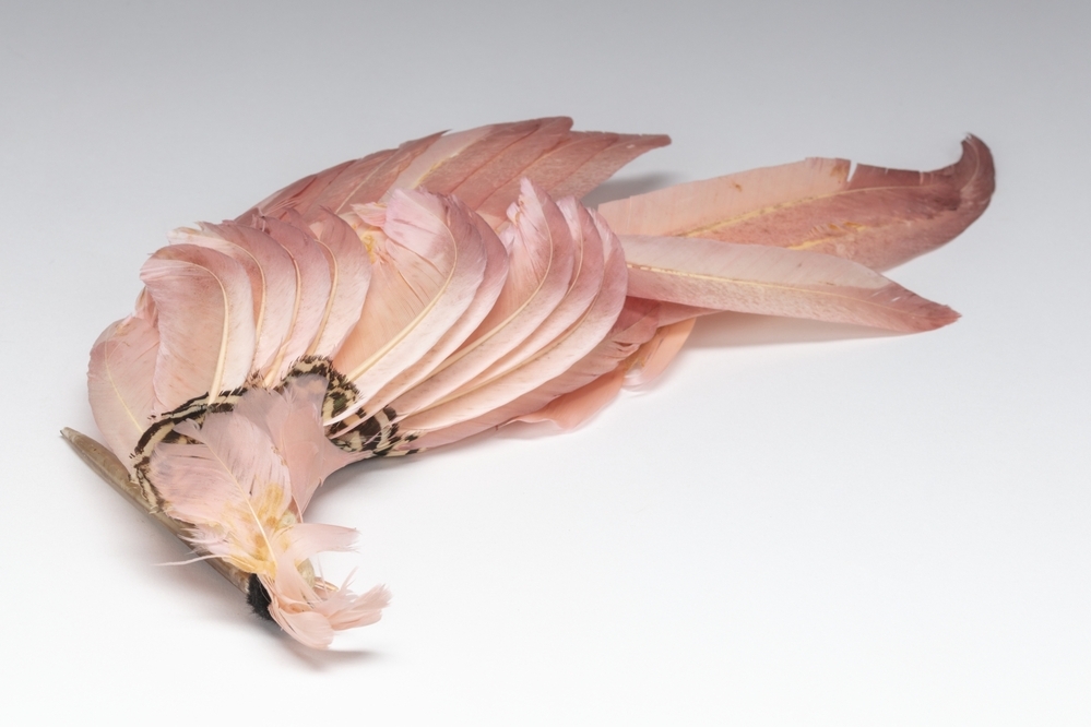 Veren hoedendecoratie of corsage