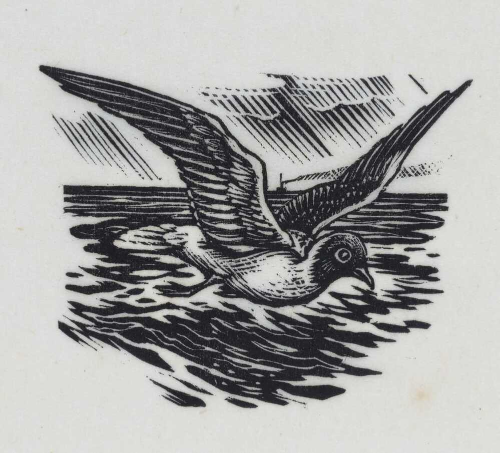 Hielko vaart de wereld in