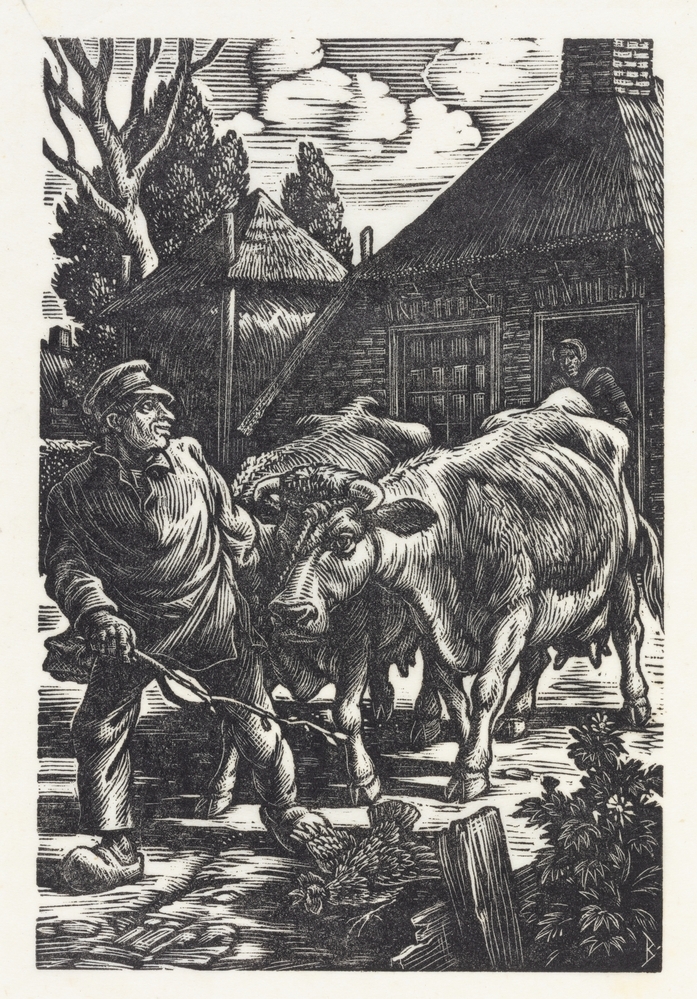 Driebuuk neemt de koeien mee