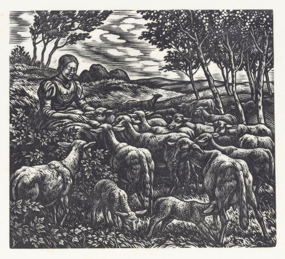 Marjatta weidt de schapen