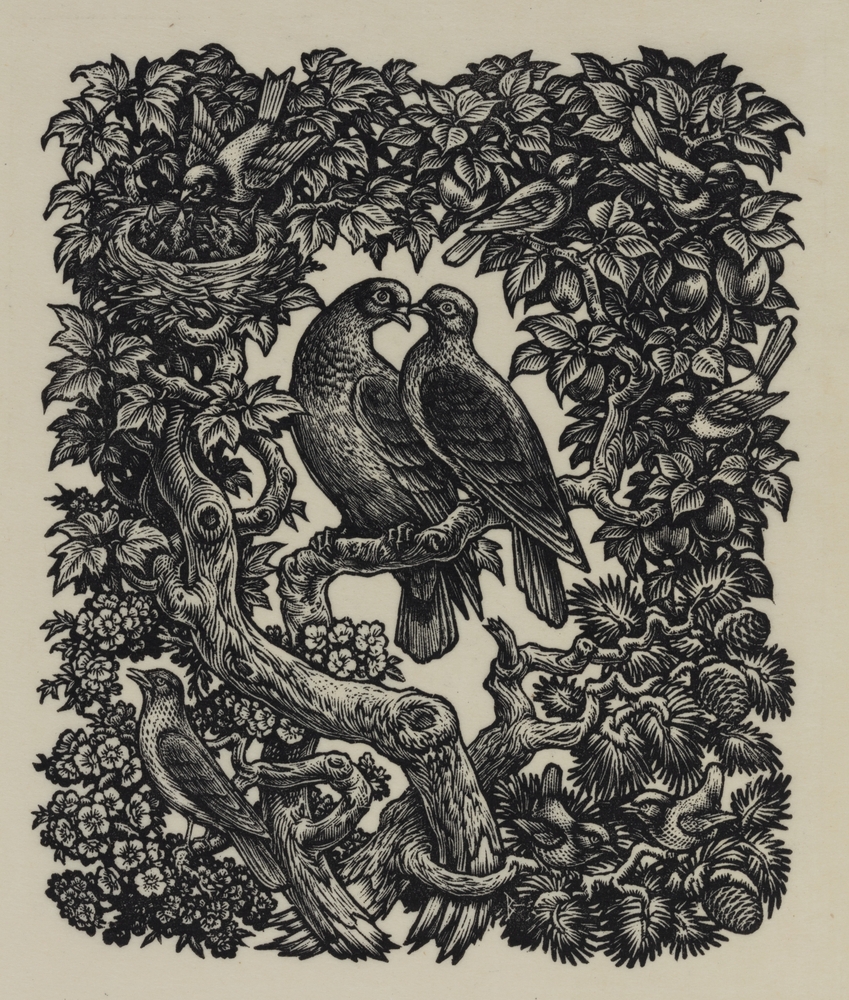 Nieuwjaarskaart Veenkoloniale bank