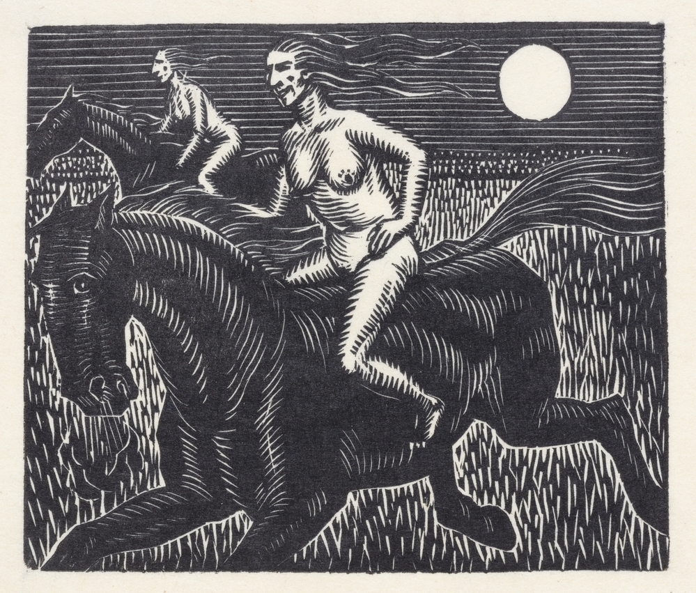 Ze reden als dol door de weide