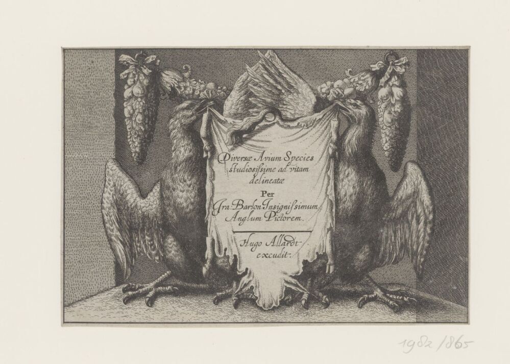 Titelpagina: Diverse avium species