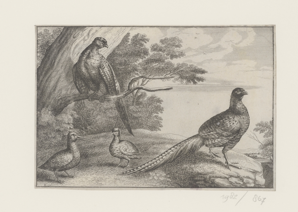 Vier vogels (een op tak)