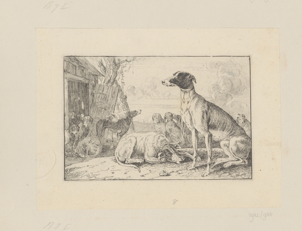 Twee honden bij een schuur