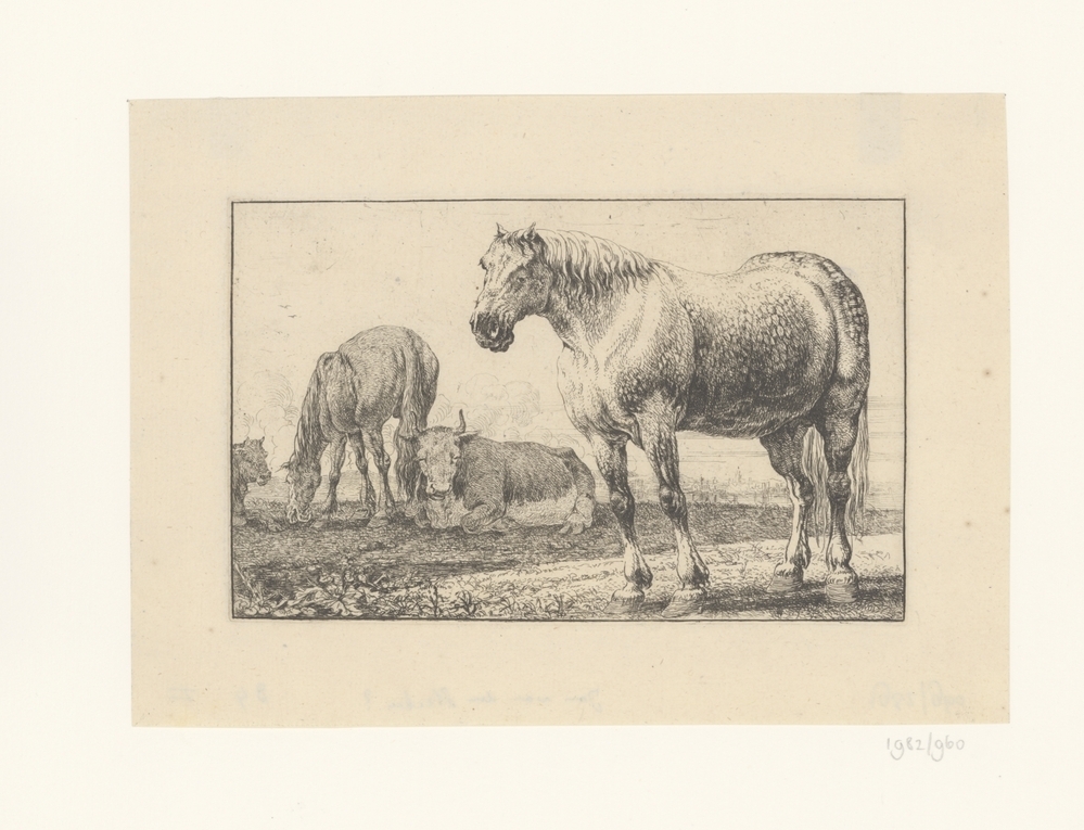 Twee paarden en twee koeien