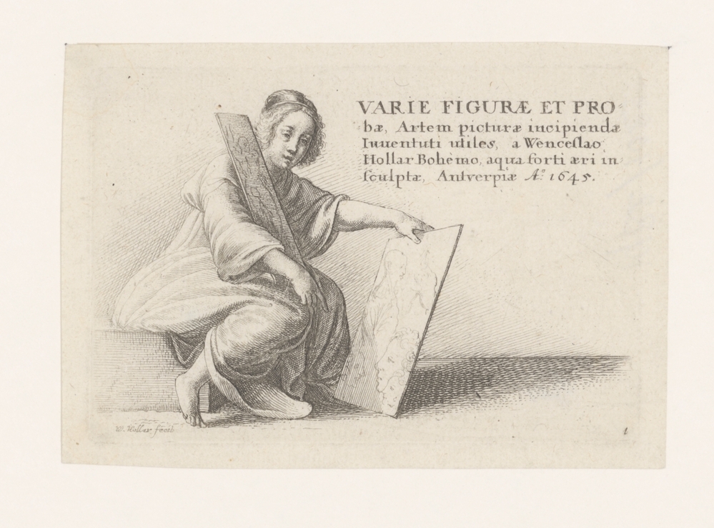 Titelplaat serie Varie Figuræ et Probæ