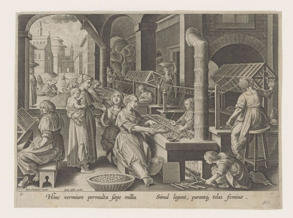 Het haspelen van de zijde (serie introductie van de zijderups en de zijdeproductie in Europa, Vermis Sericus)