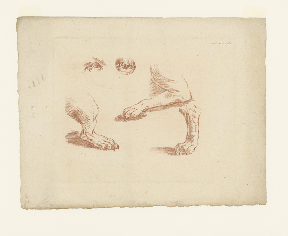 Poten en ogen (nr 3 uit een serie)