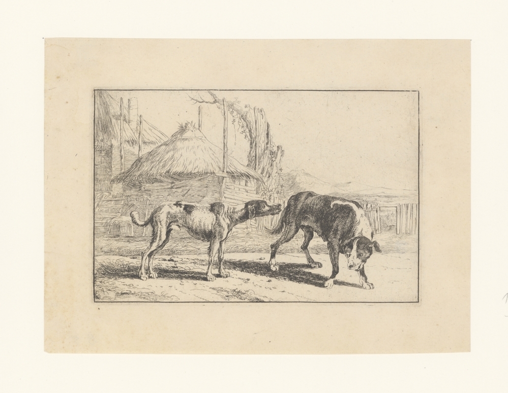 Twee honden bij een hooiberg