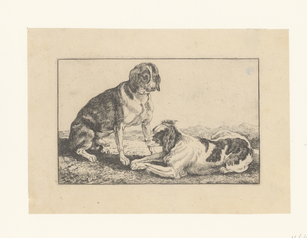 Zittende en liggende honden (serie Zoographiam)