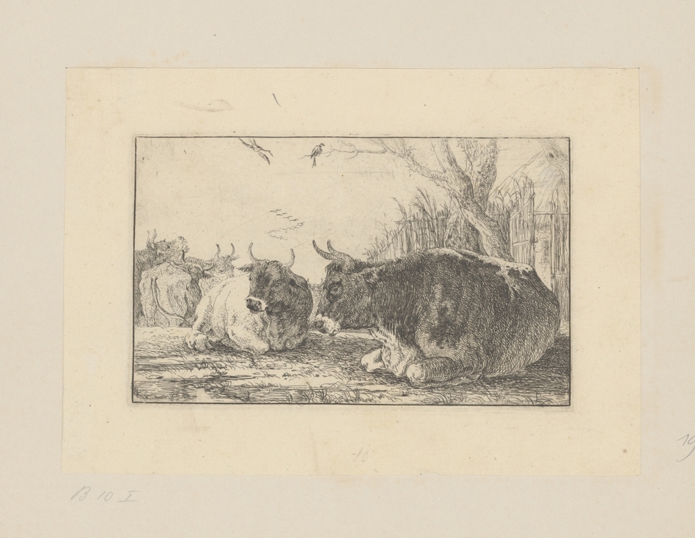 Rustende koeien (serie Zoographiam)