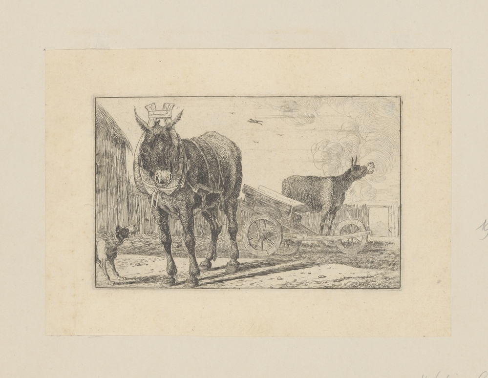 Twee ezels en een kar (serie Zoographiam)