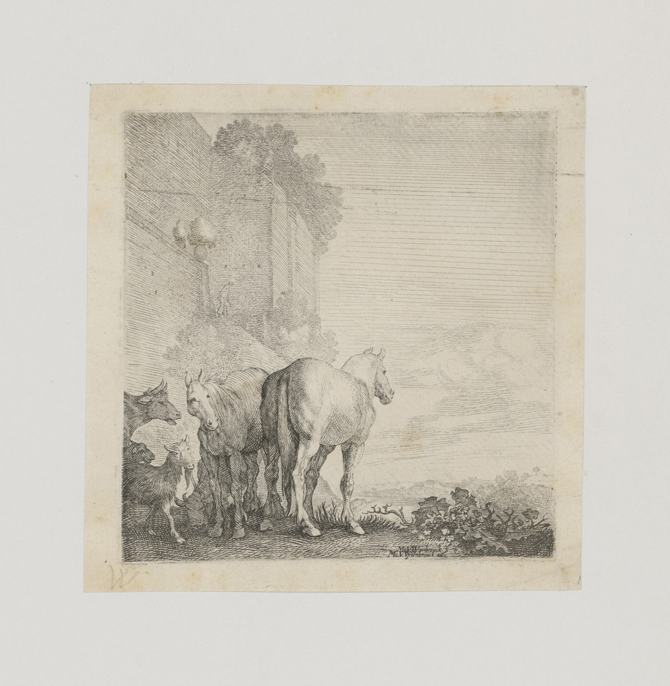 Paarden, koeien, geiten