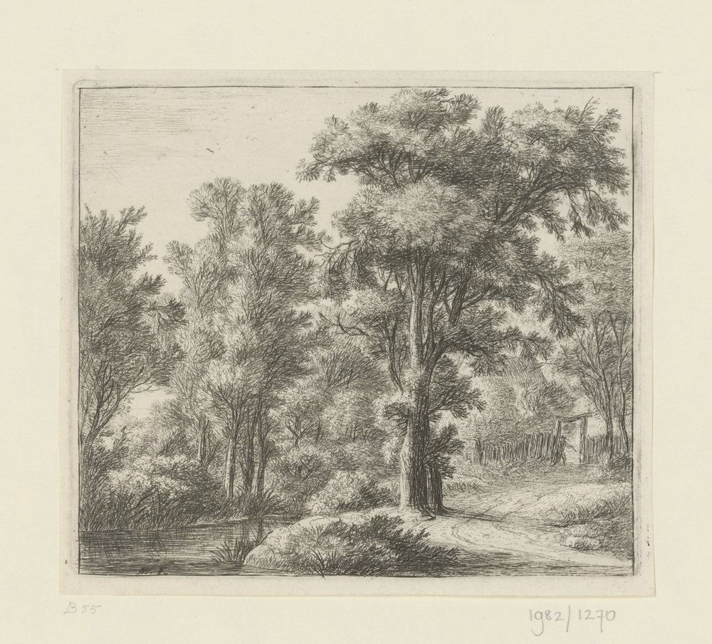 Ingang van een bos omgeven door een hek