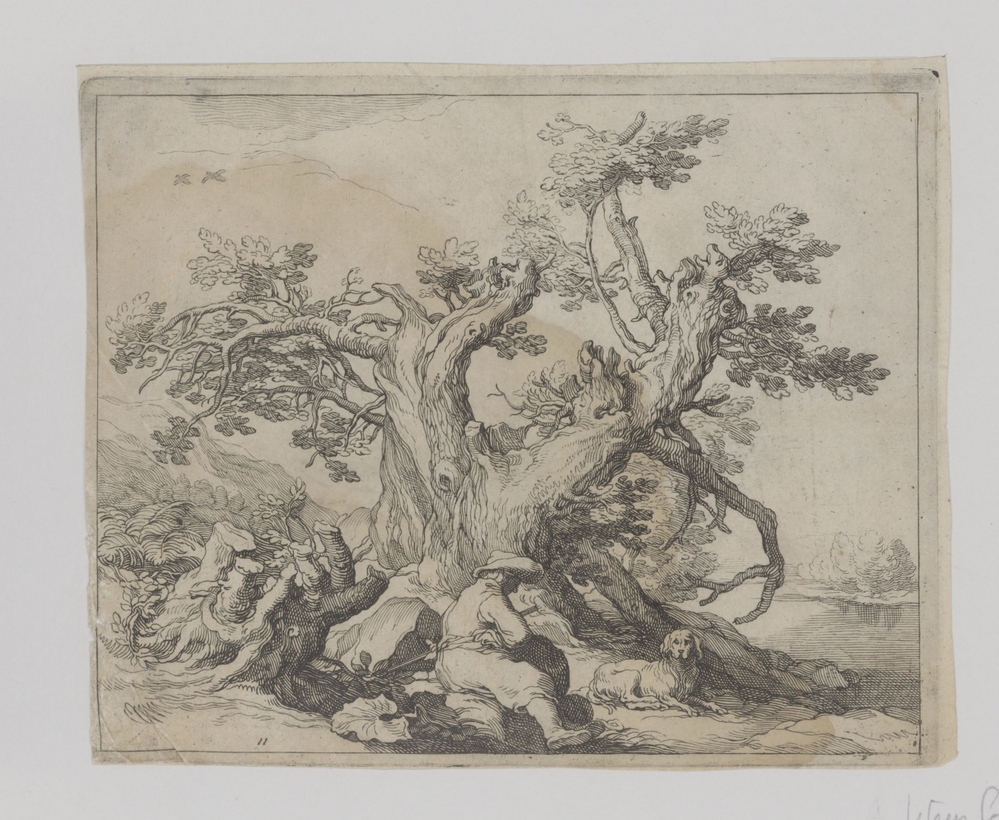 Uitzicht met knoestige boom (serie Grote landschappen)