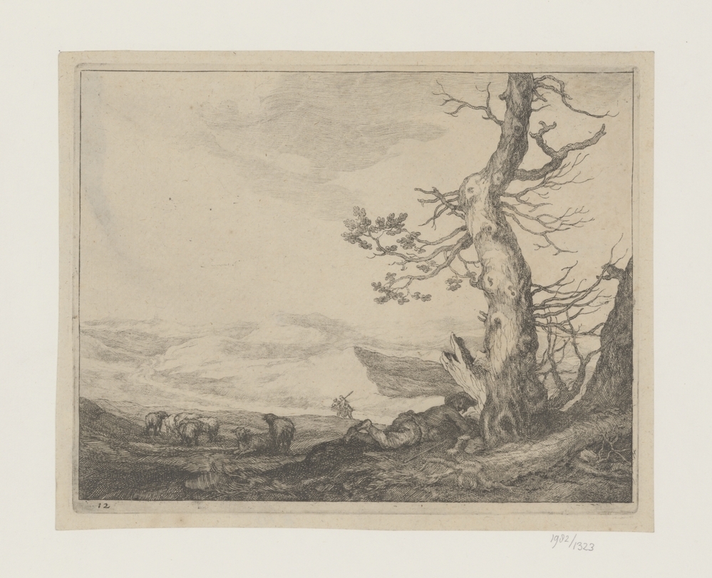 Herder onder boom met schapen