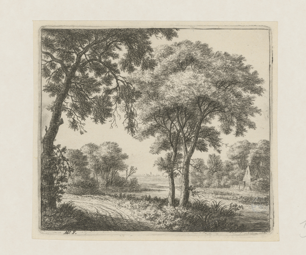 Boslandschap met rivier