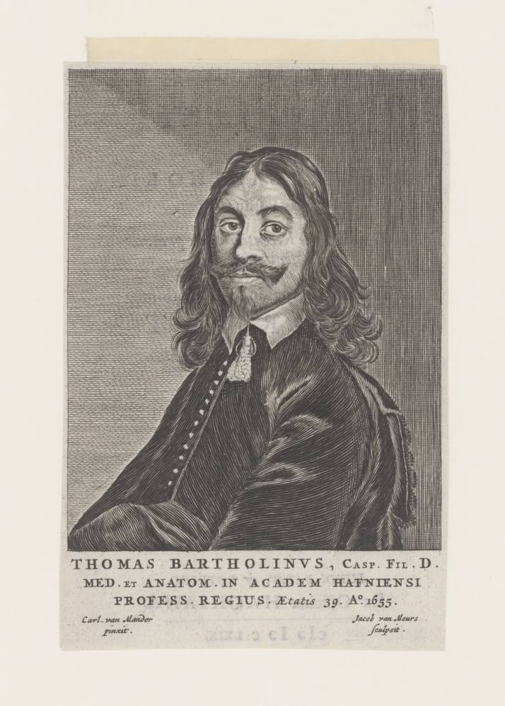 Thomas Bartholinus