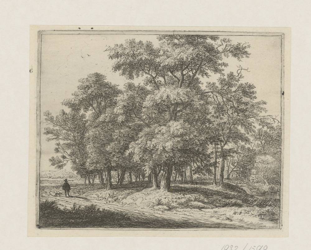 De reiziger in het bos