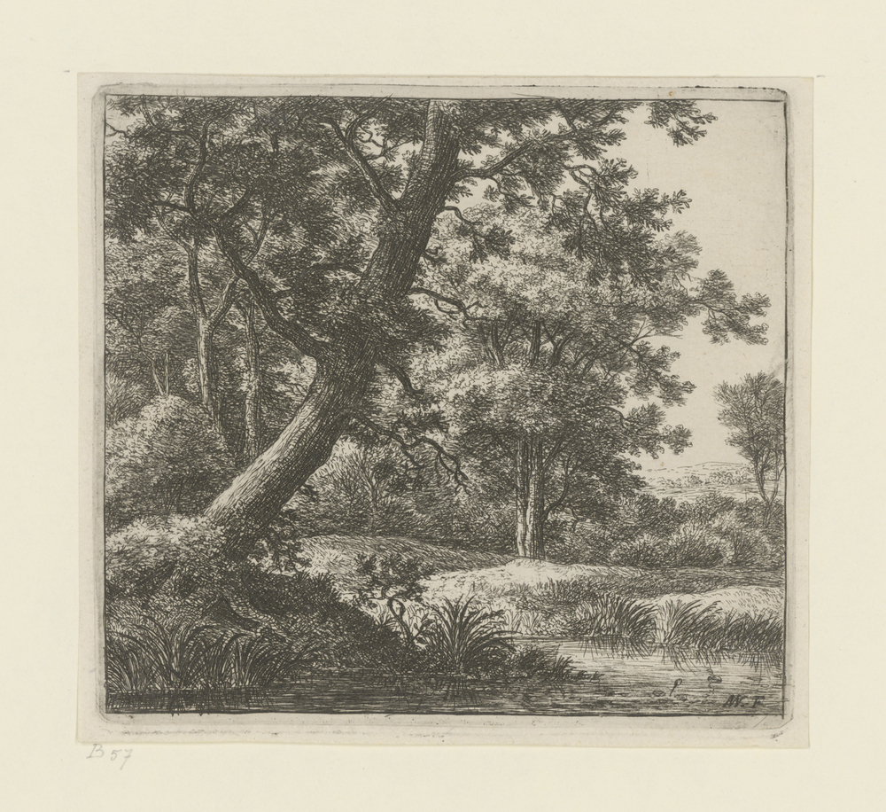 Boslandschap met meertje