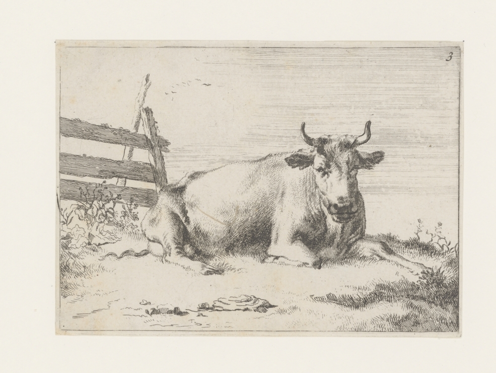 Liggende koe bij een hek (serie: Ossen en koeien)