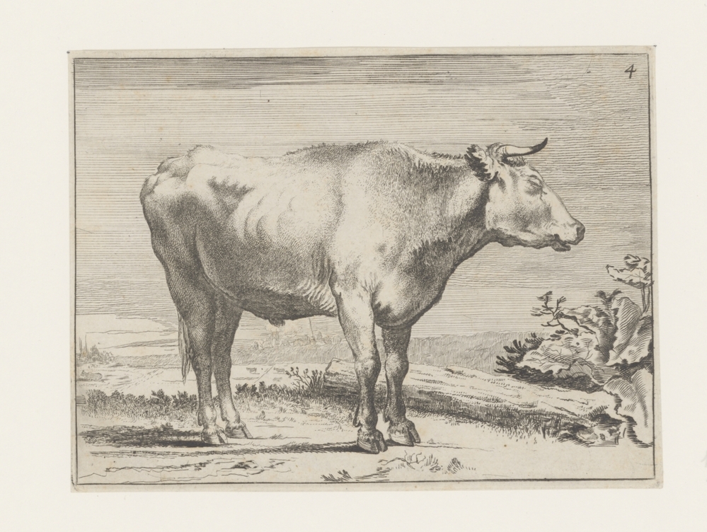 Staande os, naar rechts (serie: Ossen en koeien)