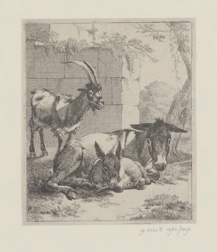 Liggende ezel met jong en staande geit (serie: Schapen, geiten en koeien)