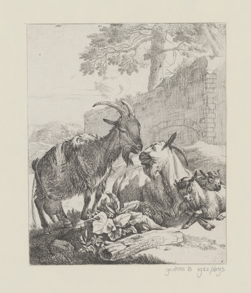 Staande en liggende geit met twee jongen (serie: Schapen, geiten en koeien)