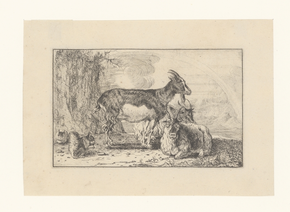 Geiten en eekhoorns (serie: Dieren)