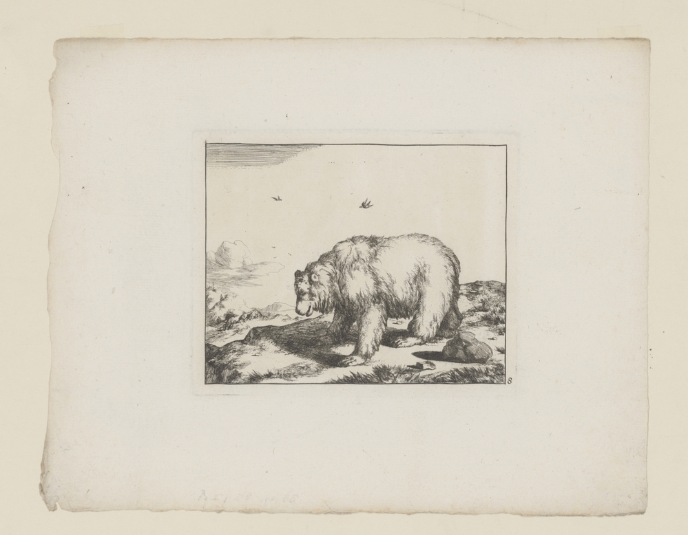 Staande beer, en profil (serie: De beren)