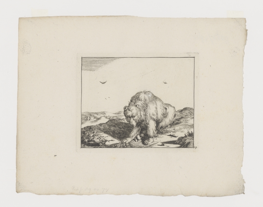 Zittende beer van voren gezien (serie: De beren)