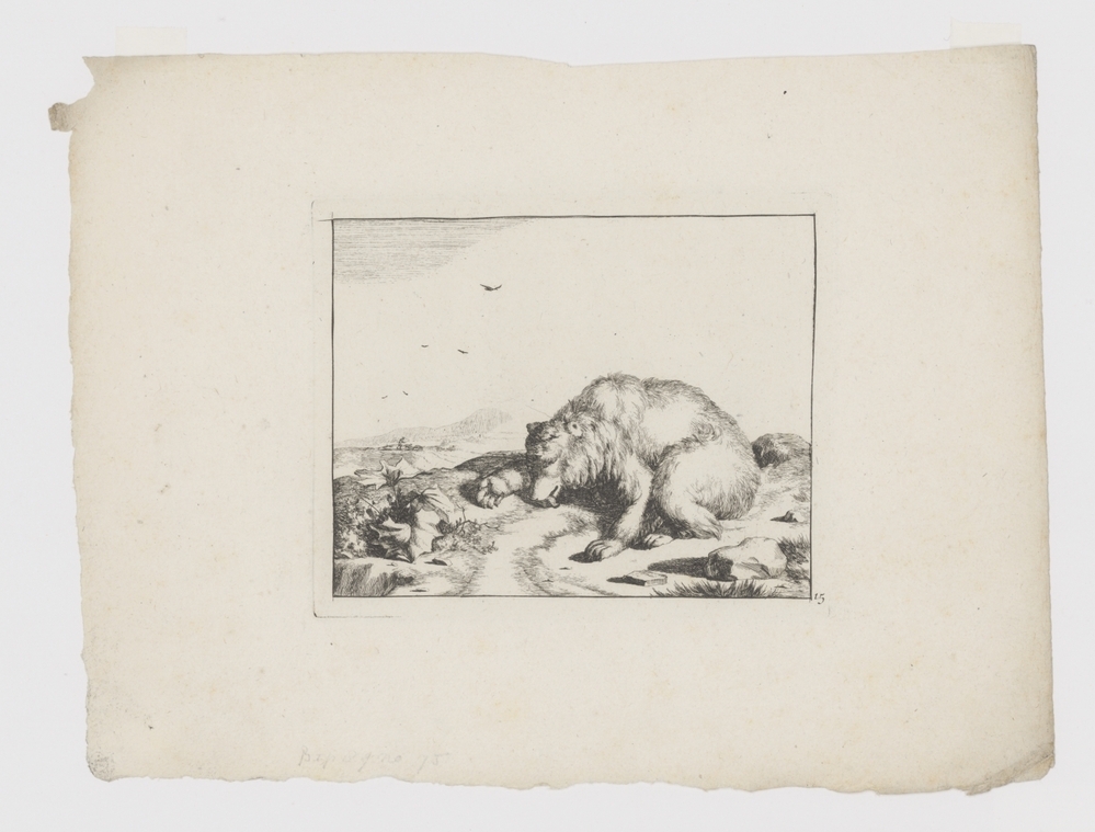 Beer, liggend met met tong uit muil (serie: De beren)