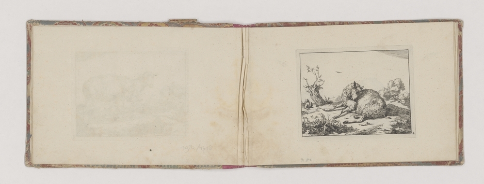 Liggend schaap, bij knotwilg (serie Schapen)