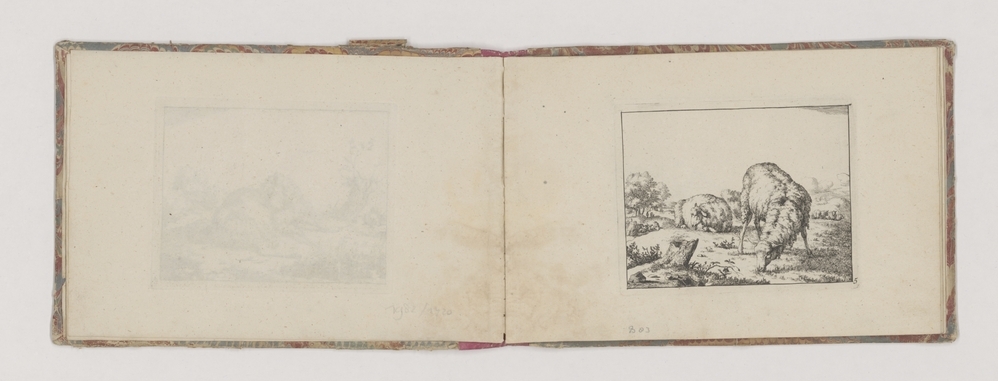 Twee schapen bij boomstronk (serie Schapen)