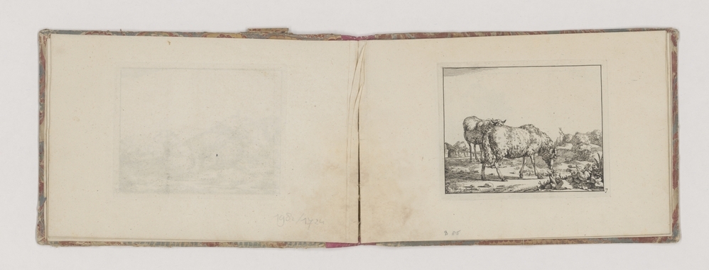 Twee schapen, staand, de voorste grazend (serie schapen)