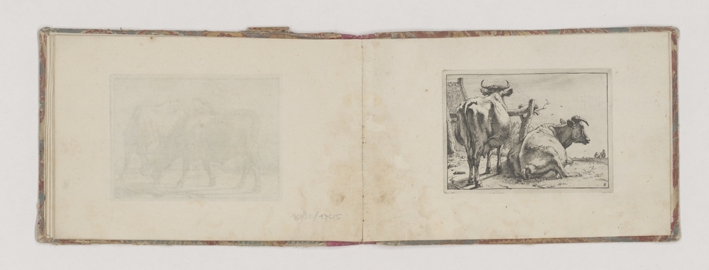 Twee koeien van achteren gezien (serie: Het Bullenboekje)