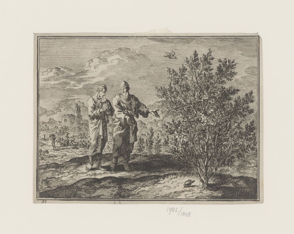 Twee mannen beschouwen een struik, opgegroeid uit mosterdzaad