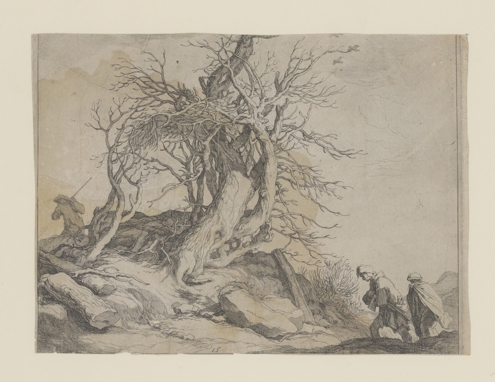 Zicht op een kale boom (serie: Grote landschappen)