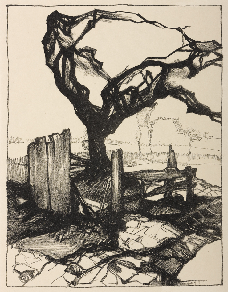 Gestileerde vruchtboom Blauwborgje