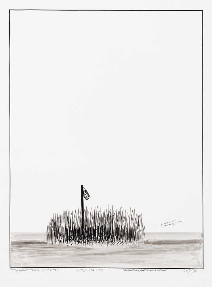 Eendenbroedplaats ergens te Ulrum (uit de serie: Bon voyage, vieux avec un peu de sucre)