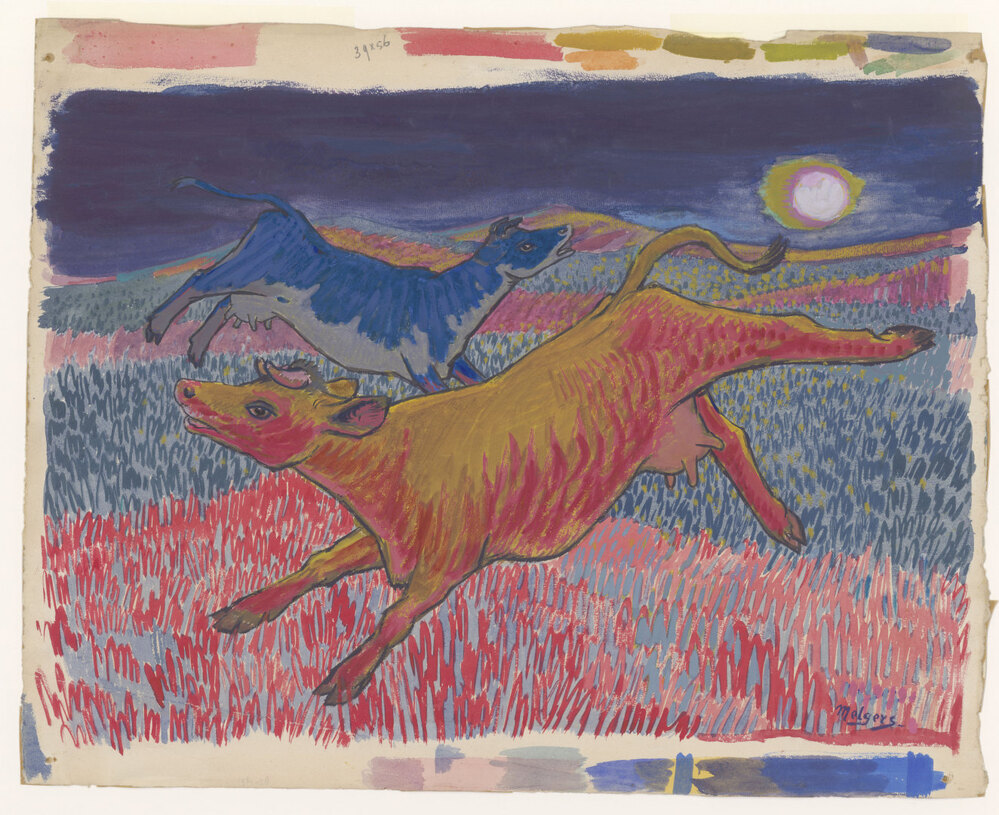 Twee dartelende koeien