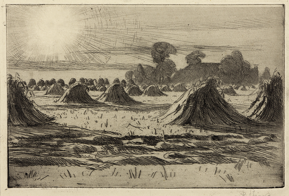 Veld met korenschoven