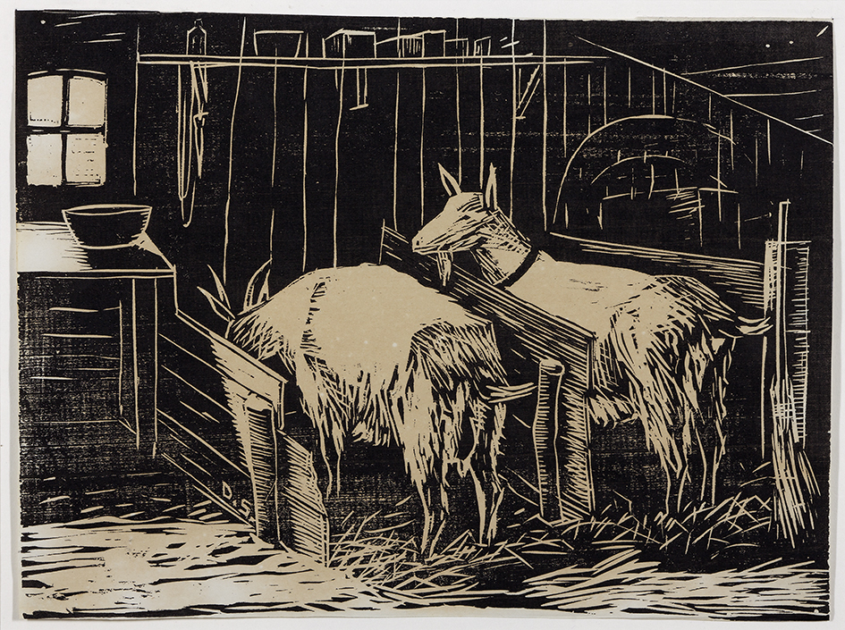 Twee geitjes in stal