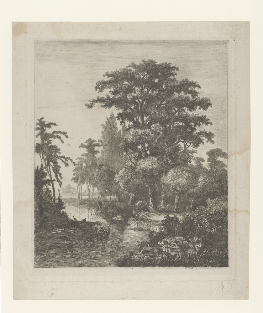 Landschap met eendennesten